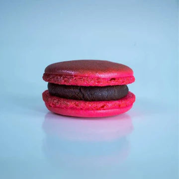 Raspberry Dark Chocolate Truffle