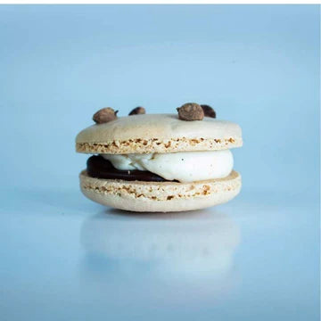 Chocolate Chip