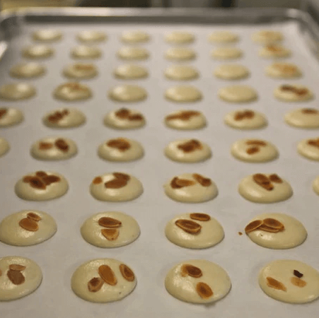 The Shells